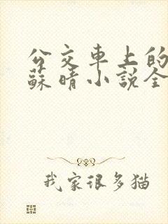 公交车上的妈妈苏晴小说全文阅读下
