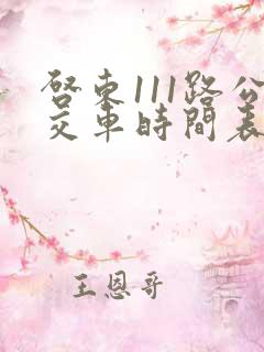 启东111路公交车时间表