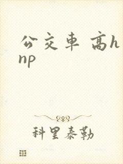 公交车 高h np