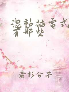 混动插电式汽车有哪些