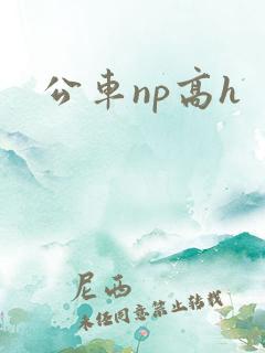 公车np高h