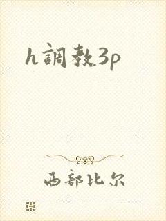 h调教3p