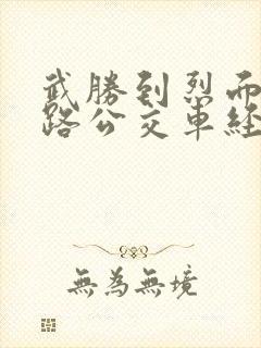 武胜到烈面10路公交车经过哪些站