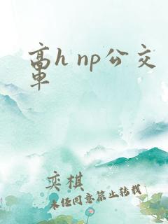 高h np公交车