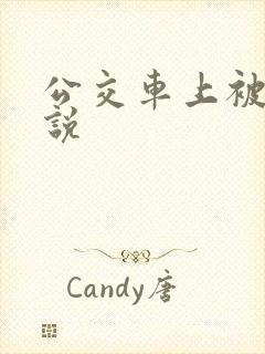 公交车上被摸小说