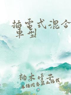插电式混合动力 车型