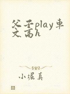 父子play车文高h