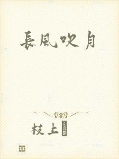 长风吹月