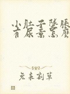 小肚子坠胀感总有尿意怎么回事