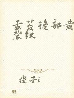 舌苔后部黄腻有裂纹