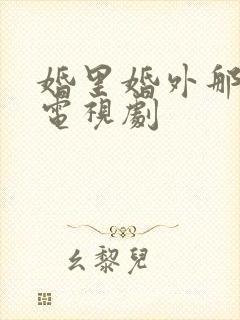 婚里婚外那些事电视剧