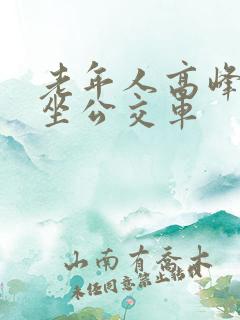 老年人高峰期乘坐公交车