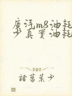 广汽m8油耗多少真实油耗