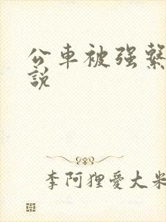公车被强系列小说