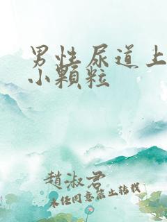 男性尿道上长了小颗粒