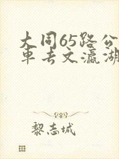 大同65路公交车去文瀛湖