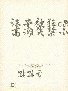 沫子被狂c躁到高潮失禁小说