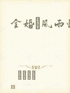 金婚·风雨情