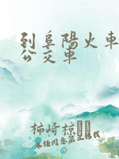 到阜阳火车站的公交车