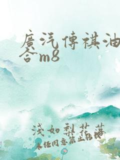 广汽传祺油电混合m8