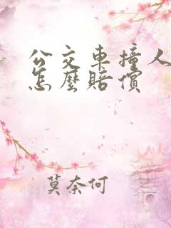 公交车撞人全责怎么赔偿