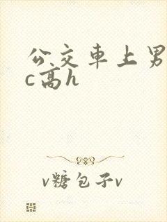 公交车上男男被c高h