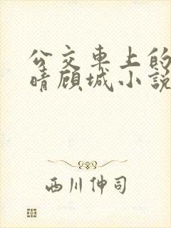 公交车上的诗请晴顾城小说阅读