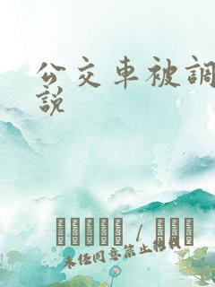 公交车被调教小说
