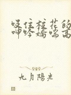 吸住校花的奶头呻吟娇喘高潮视频