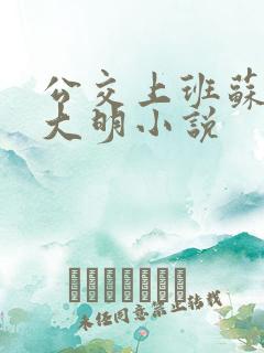 公交上班苏晴杨大明小说