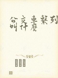 公交车系列小说叫什么