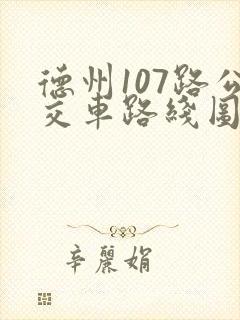 德州107路公交车路线图
