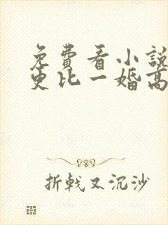 免费看小说一婚更比一婚高