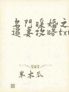名门暖婚之权爷追妻攻略txt下载