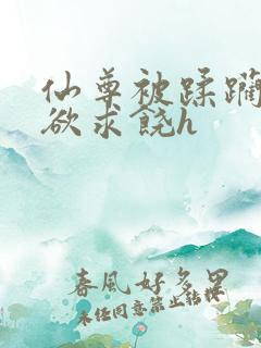 仙尊被蹂躏成泄欲求饶h