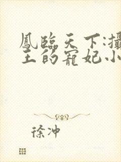 凤临天下:摄政王的宠妃小说小说