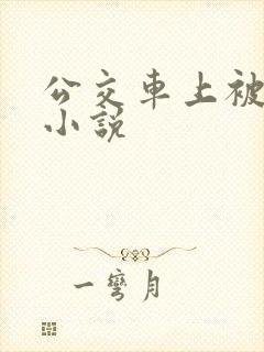 公交车上被人摸小说