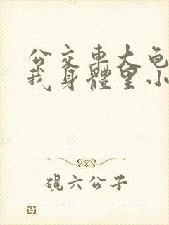 公交车大龟廷进我身体里小说