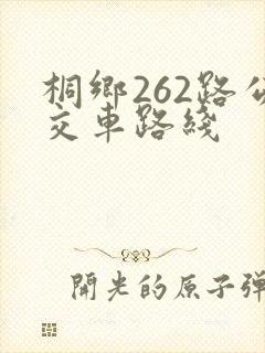 桐乡262路公交车路线