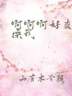 啊啊啊好爽用力操我