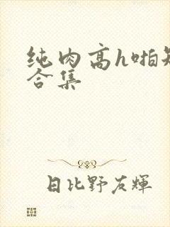 纯肉高h啪短文合集