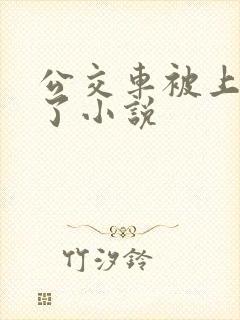公交车被上高潮了小说