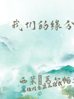 我们的缘分小说