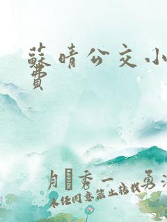 苏晴公交小说免费