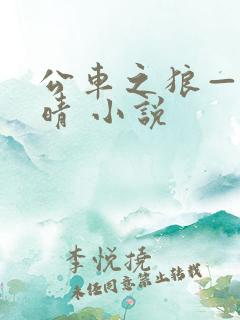 公车之狼——诗晴 小说