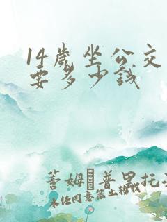 14岁坐公交车要多少钱
