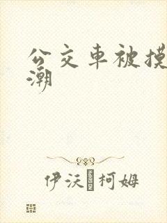 公交车被摸到高潮