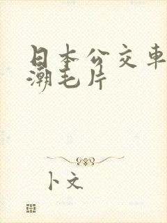 日本公交车上高潮毛片