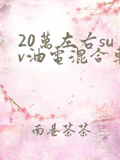 20万左右suv油电混合车型推荐