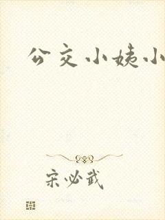 公交小姨小说
